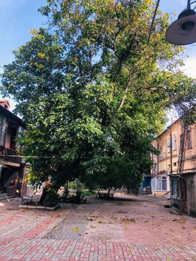 Апартаменты Apartment in the city centre Одесса-36